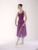 Picture of Little Ballerina Skirt Adult