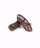 Picture of Leather Aspire Ballet Shoe Adult